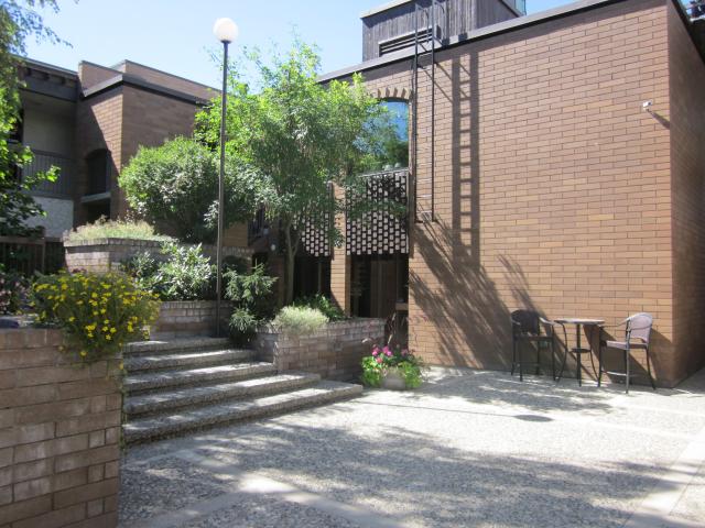 courtyard_summer.jpg